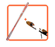 <i><b>Plus d'Infos</b></i>